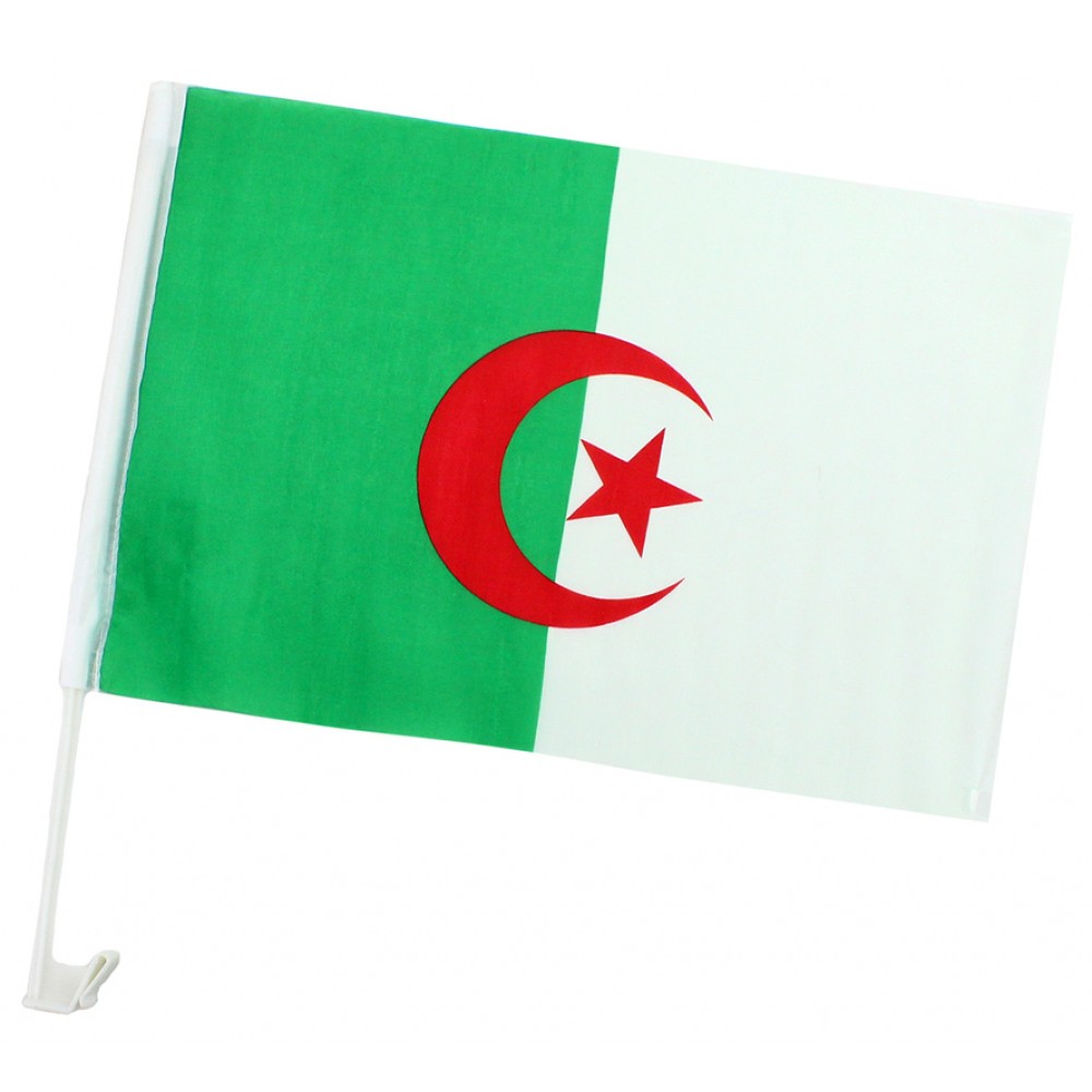 Drapeau Algérien étendard Algérie 45 x 30 cm Djazair + Support pour Voiture