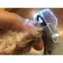 Paire de Ciseaux Coupe Griffe avec LED Toilettage Chat Chien Animal Coupe-Ongles